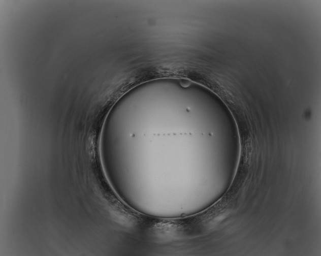 X0000089930699200707061040