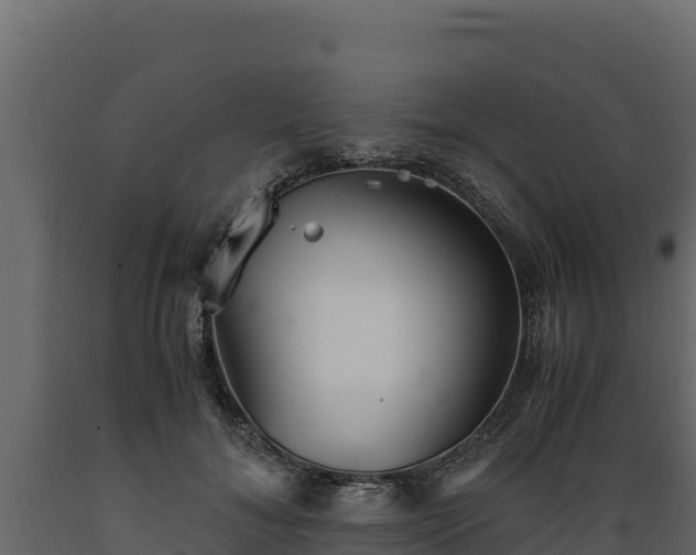 X0000089930700200707061040