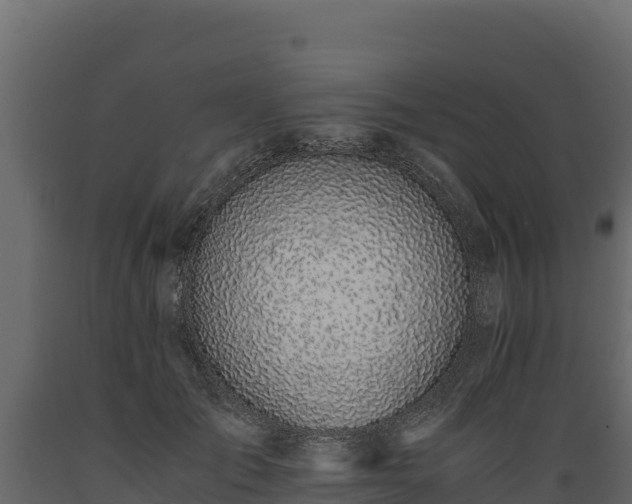 X0000089930701200707061040