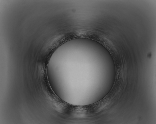 X0000089930702200707061040