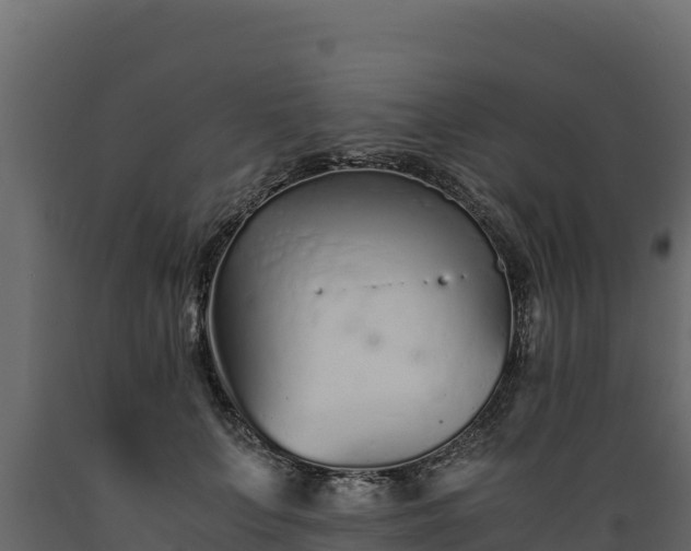 X0000089930703200707061040