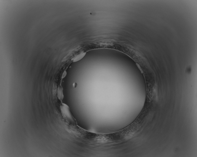 X0000089930704200707061040