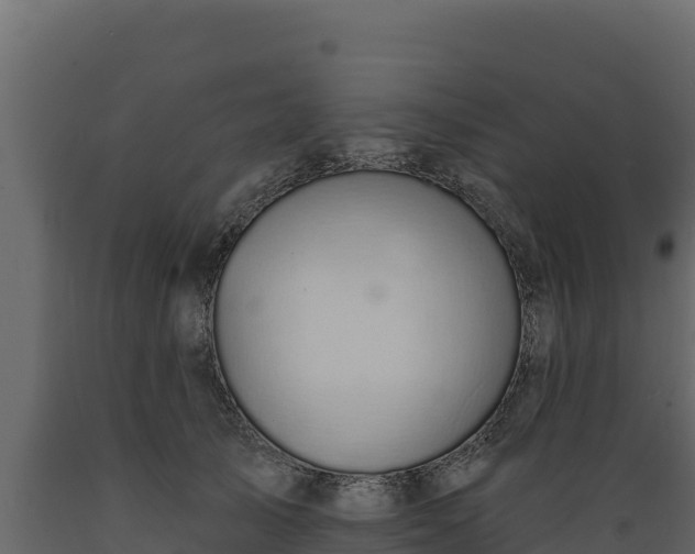 X0000089930705200707061040