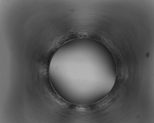 X0000089930706200707061040