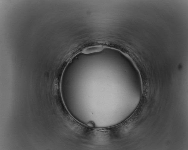 X0000089930707200707061040