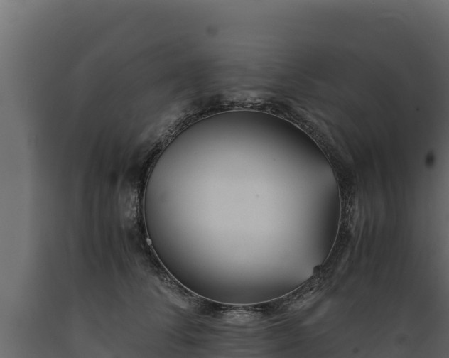 X0000089930708200707061040