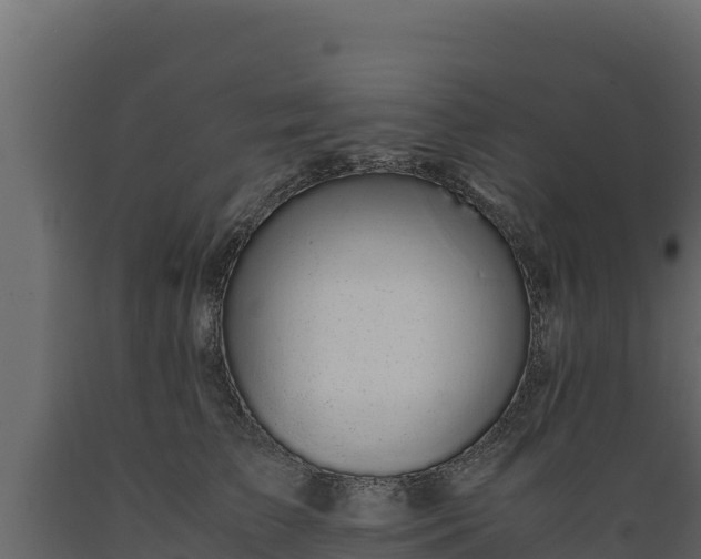 X0000089930709200707061040