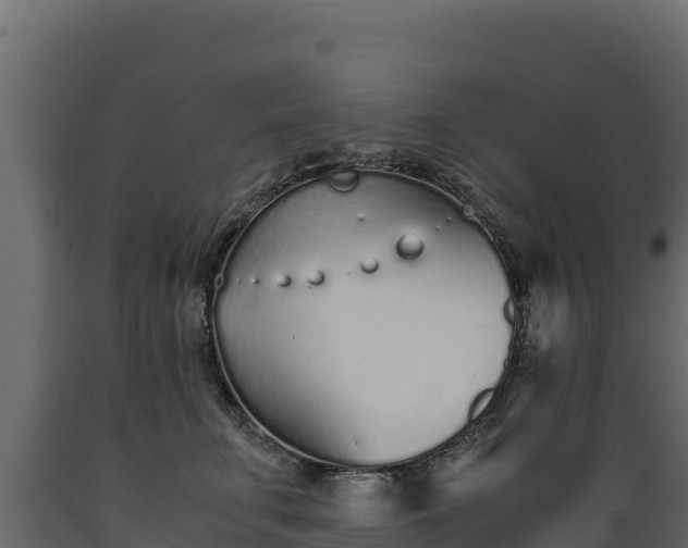 X0000089930711200707061040