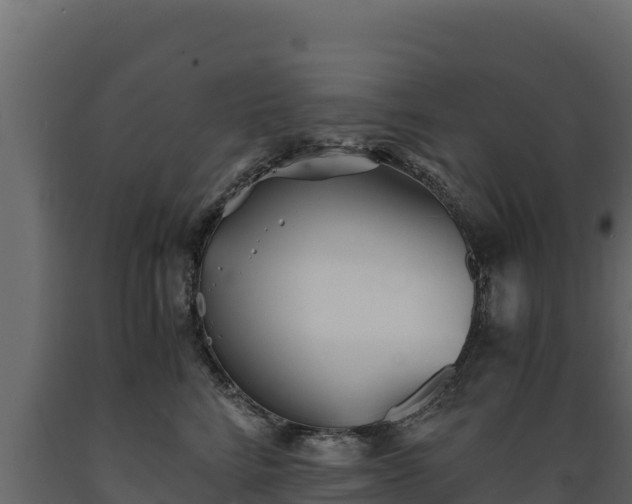 X0000089930712200707061039