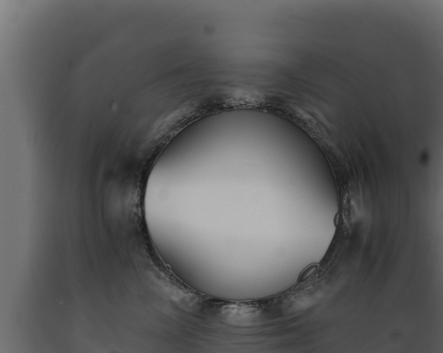 X0000089930714200707061039