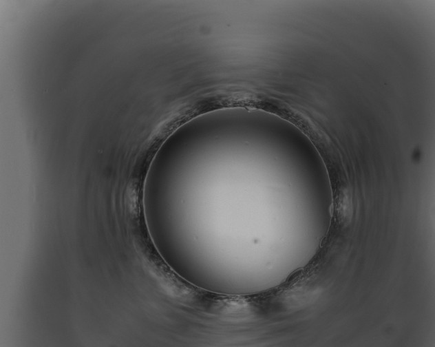 X0000089930715200707061039