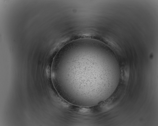 X0000089930718200707061039