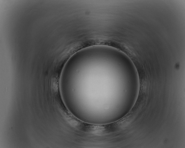 X0000089930719200707061039