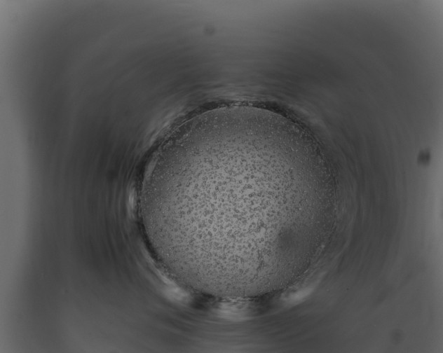 X0000089930720200707061039