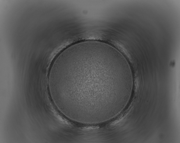 X0000089930721200707061039