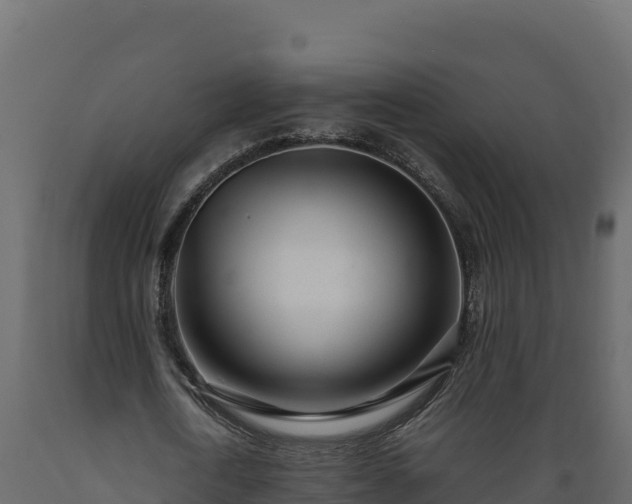 X0000089930722200707061039