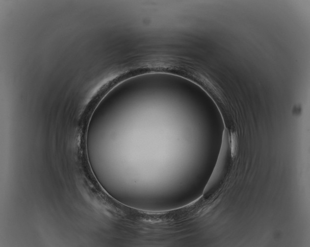 X0000089930723200707061039