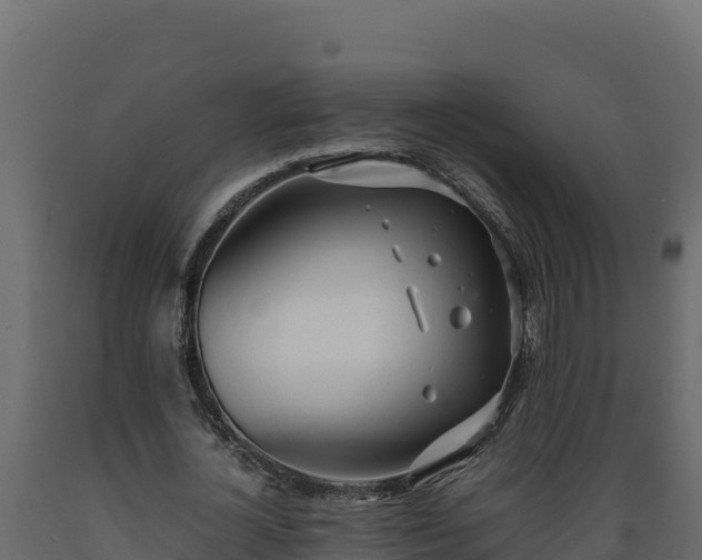 X0000089930724200707061039