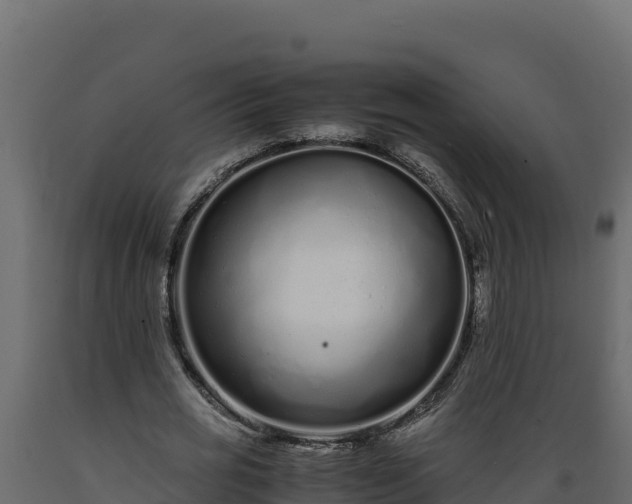 X0000089930725200707061039