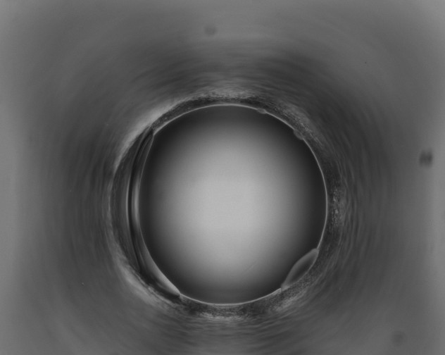 X0000089930726200707061039