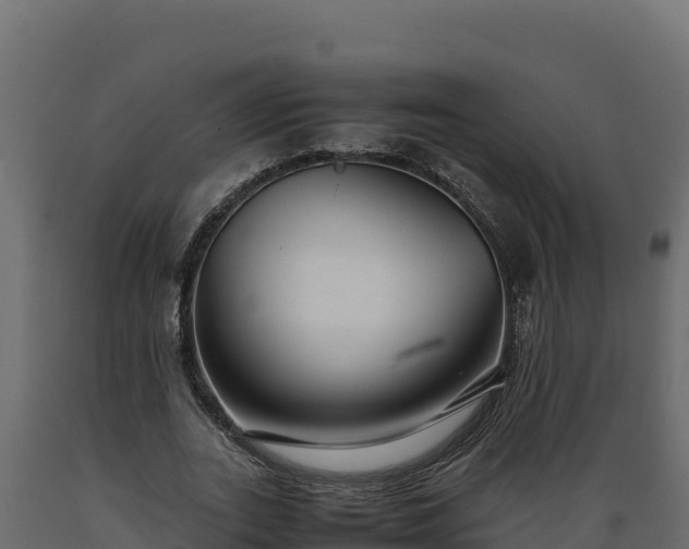 X0000089930727200707061039