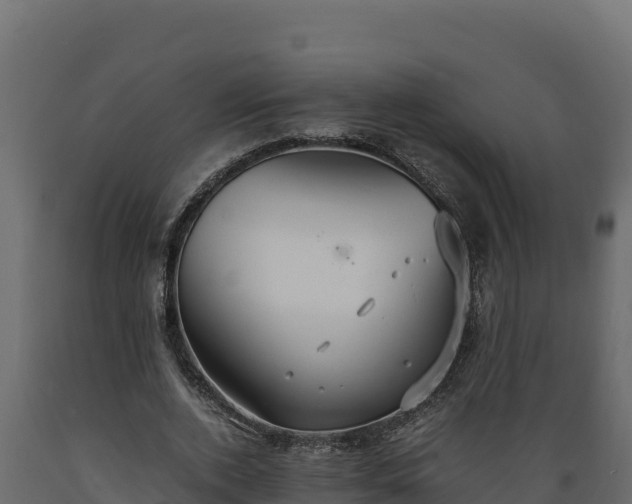 X0000089930728200707061039