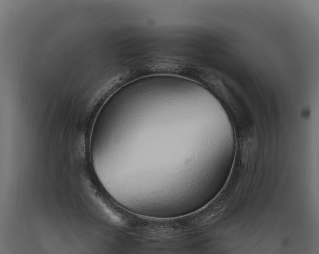 X0000089930729200707061039