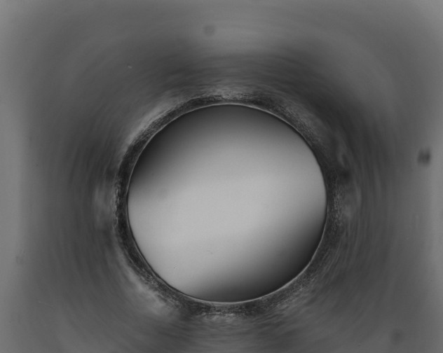 X0000089930730200707061039