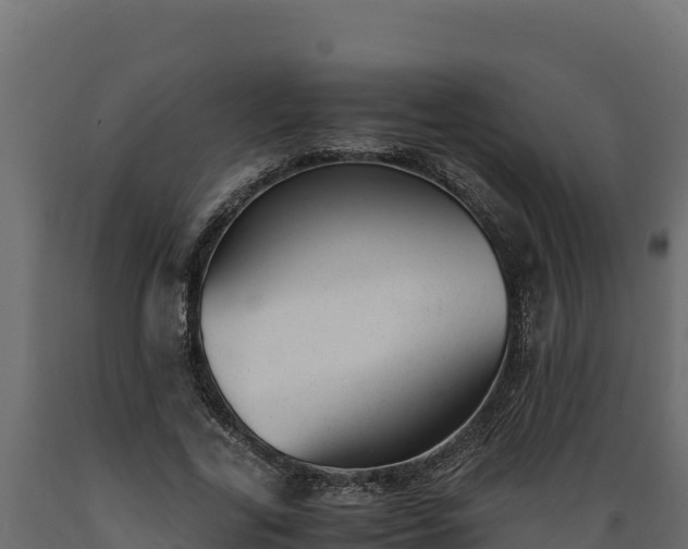 X0000089930731200707061039