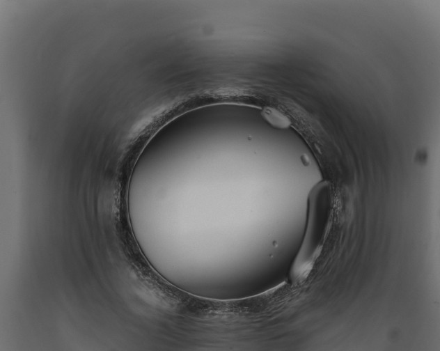 X0000089930732200707061039