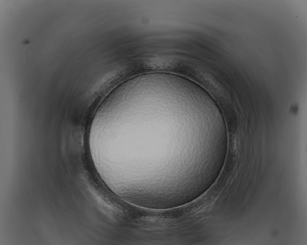 X0000089930733200707061039