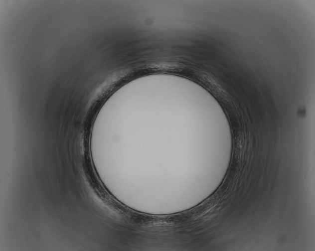 X0000089930734200707061039