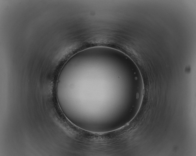 X0000089930735200707061039