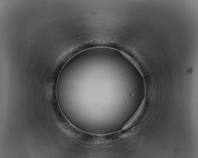 X0000089930736200707061039