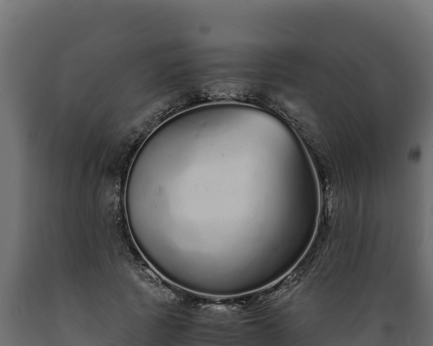 X0000089930737200707061039