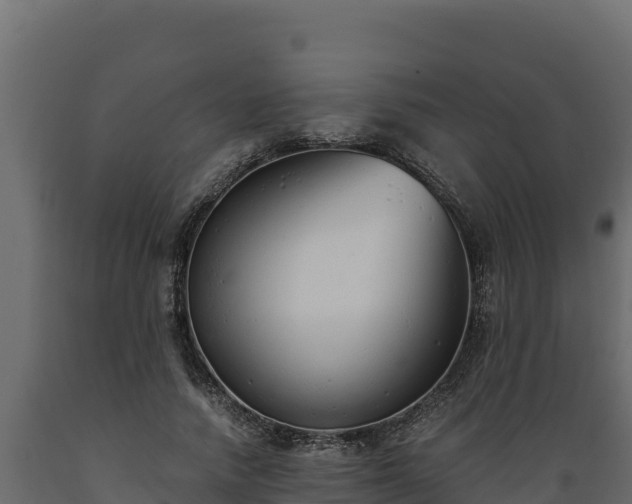 X0000089930738200707061039