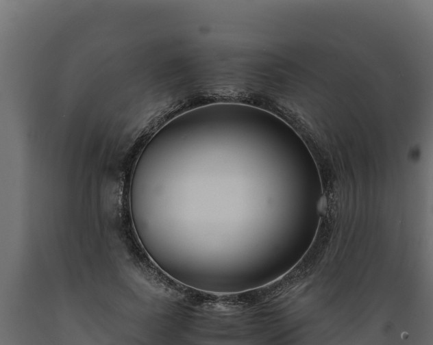 X0000089930739200707061039