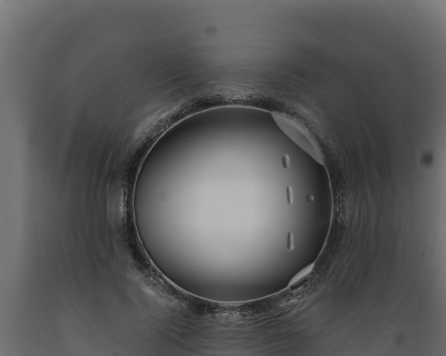 X0000089930740200707061039