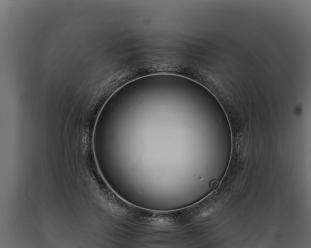 X0000089930741200707061039