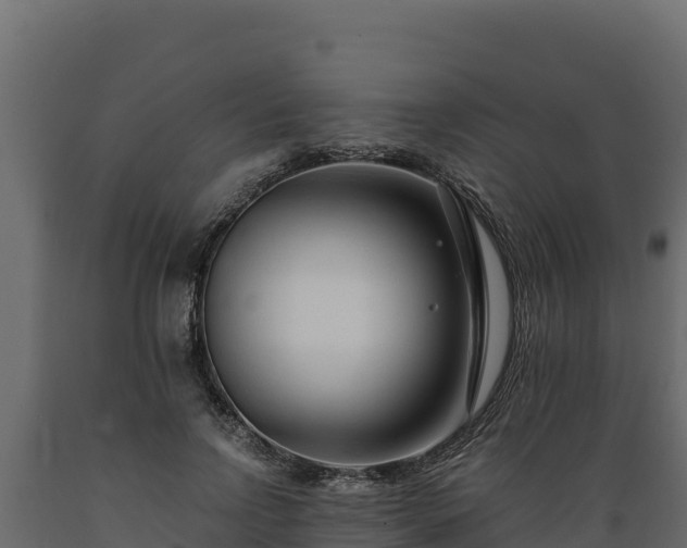 X0000089930742200707061039