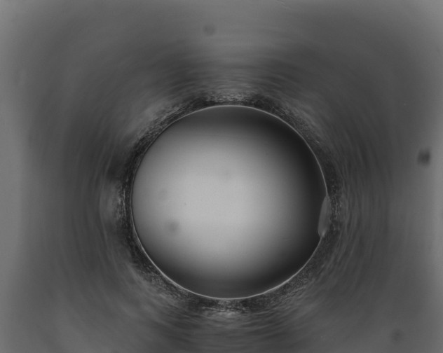 X0000089930743200707061039