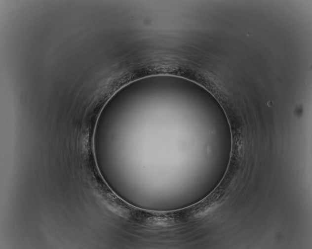 X0000089930745200707061039