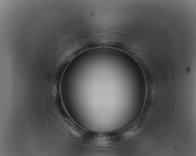 X0000089930746200707061039