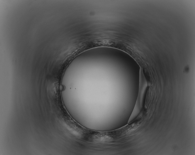 X0000089930747200707061039