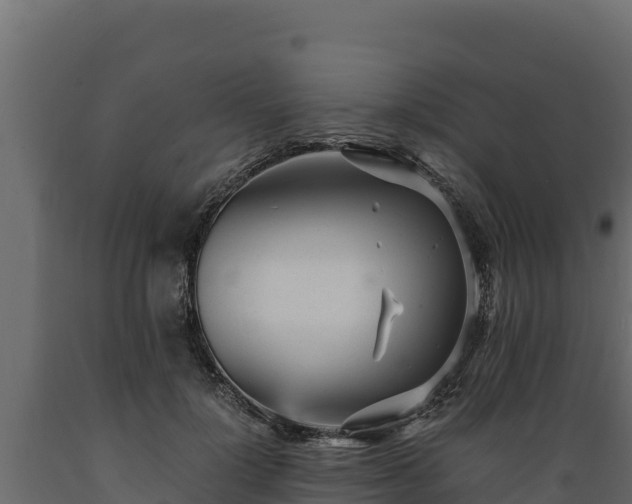 X0000089930748200707061039