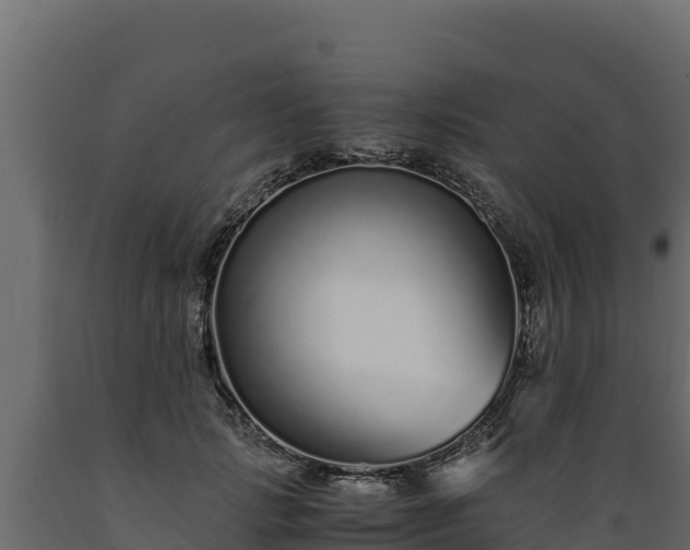 X0000089930749200707061039