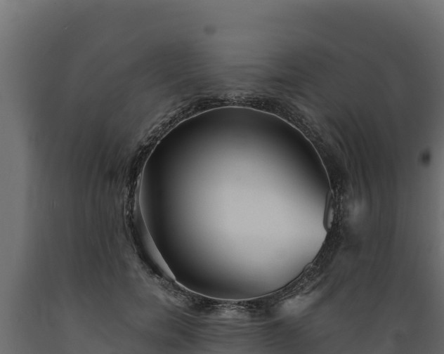 X0000089930750200707061039