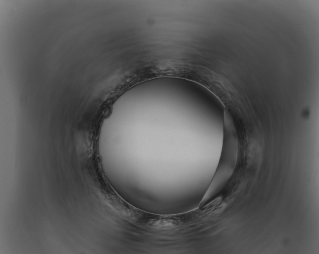 X0000089930751200707061039