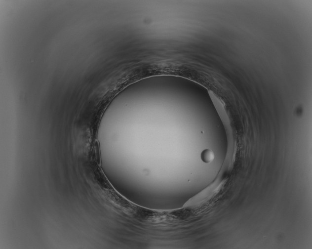 X0000089930752200707061039