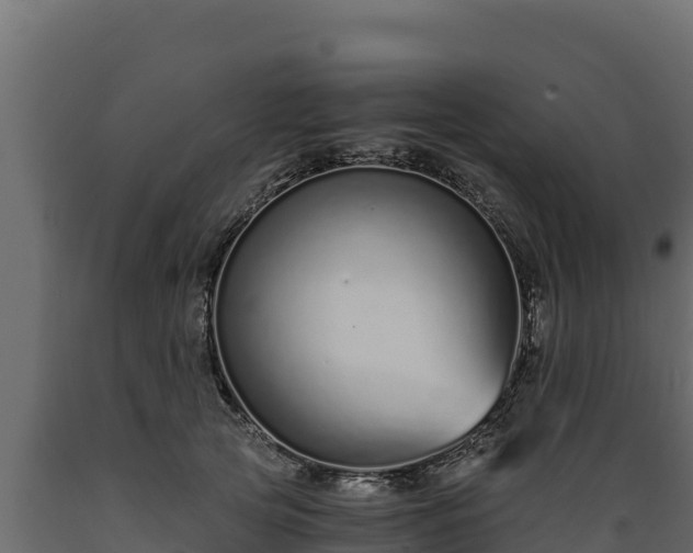 X0000089930753200707061039